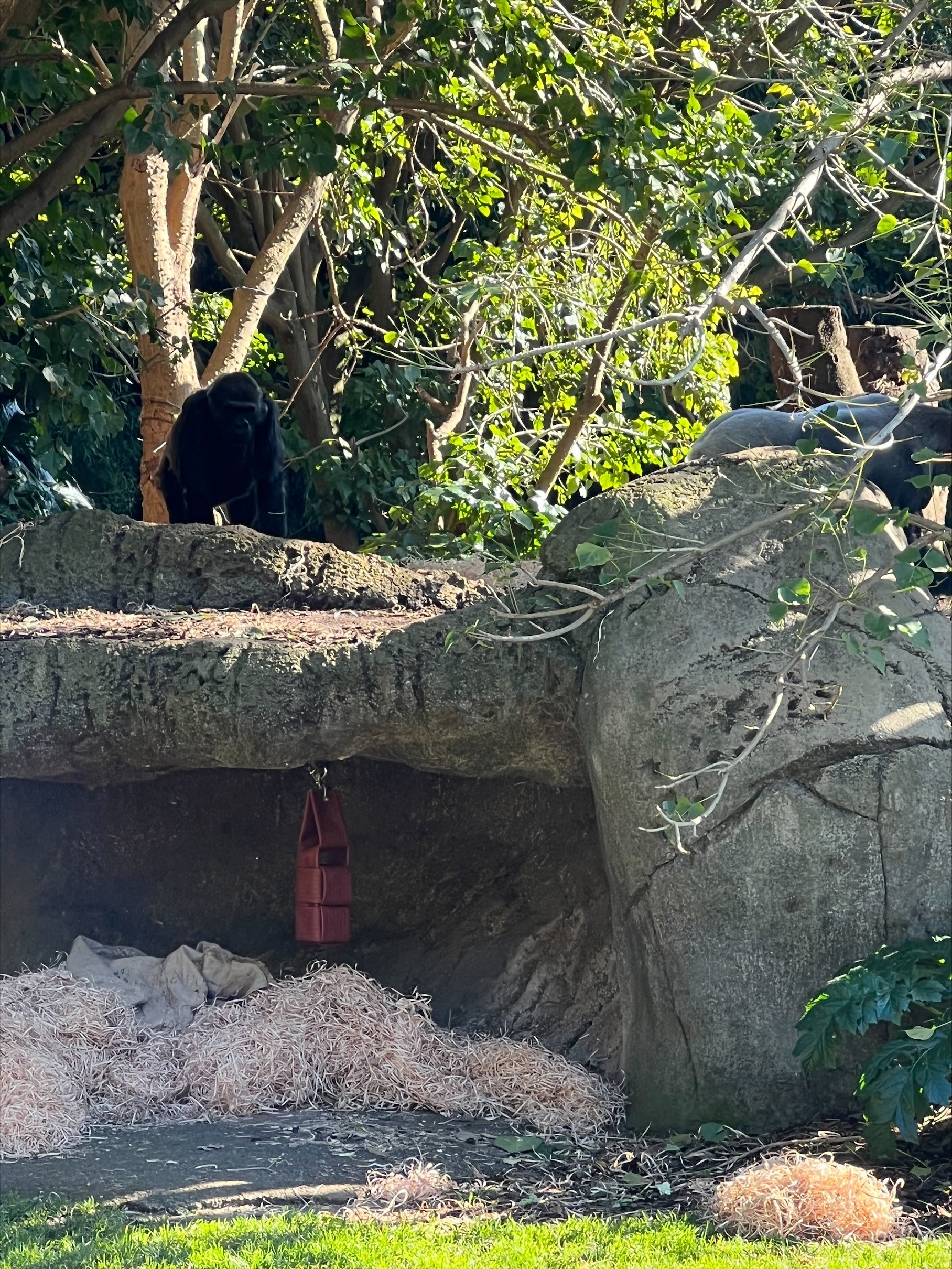 /uploaded_files/media/gallery/1659494484zoo 14.jpg